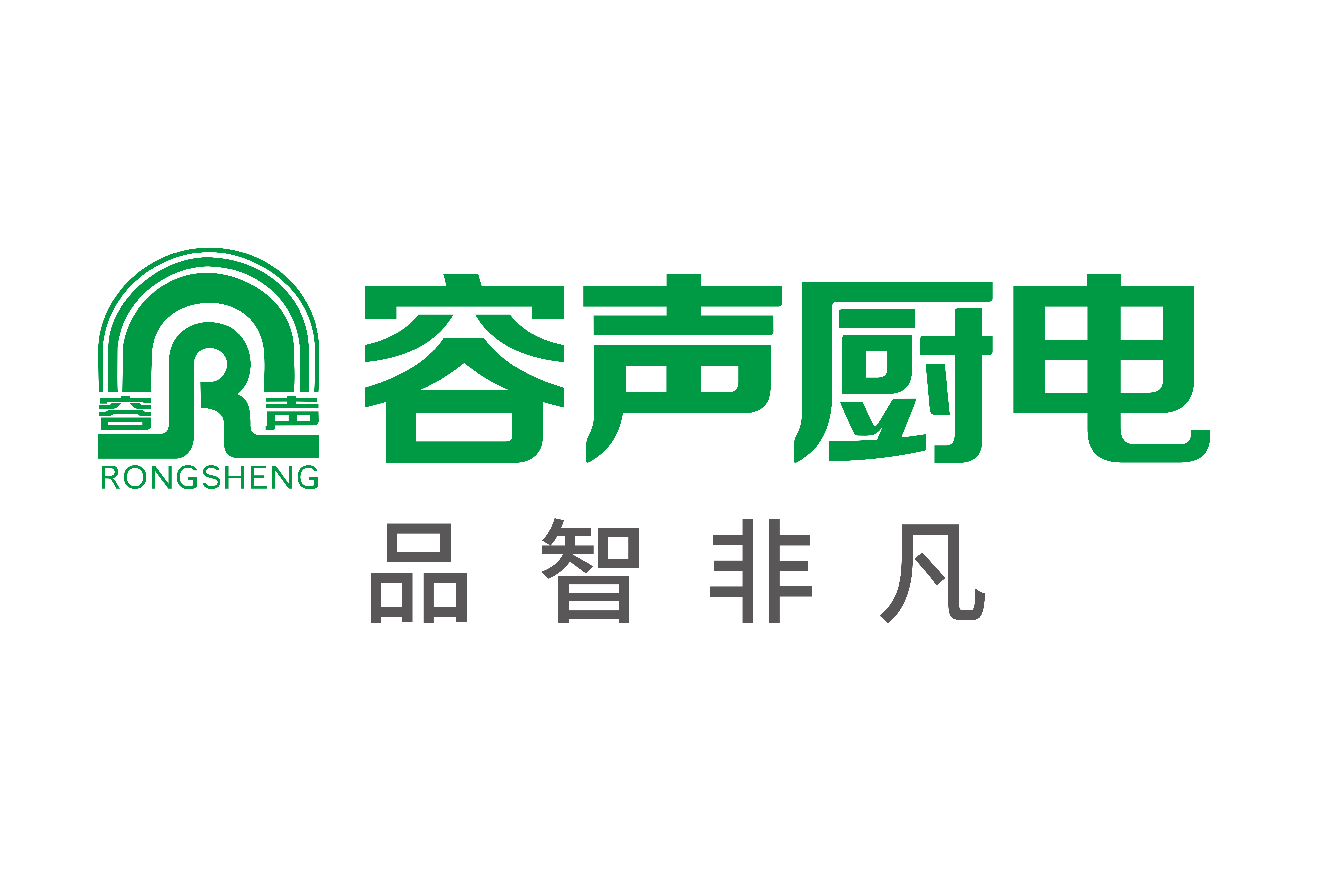 Guangdong Rongsheng Electric Holding Co., Ltd.