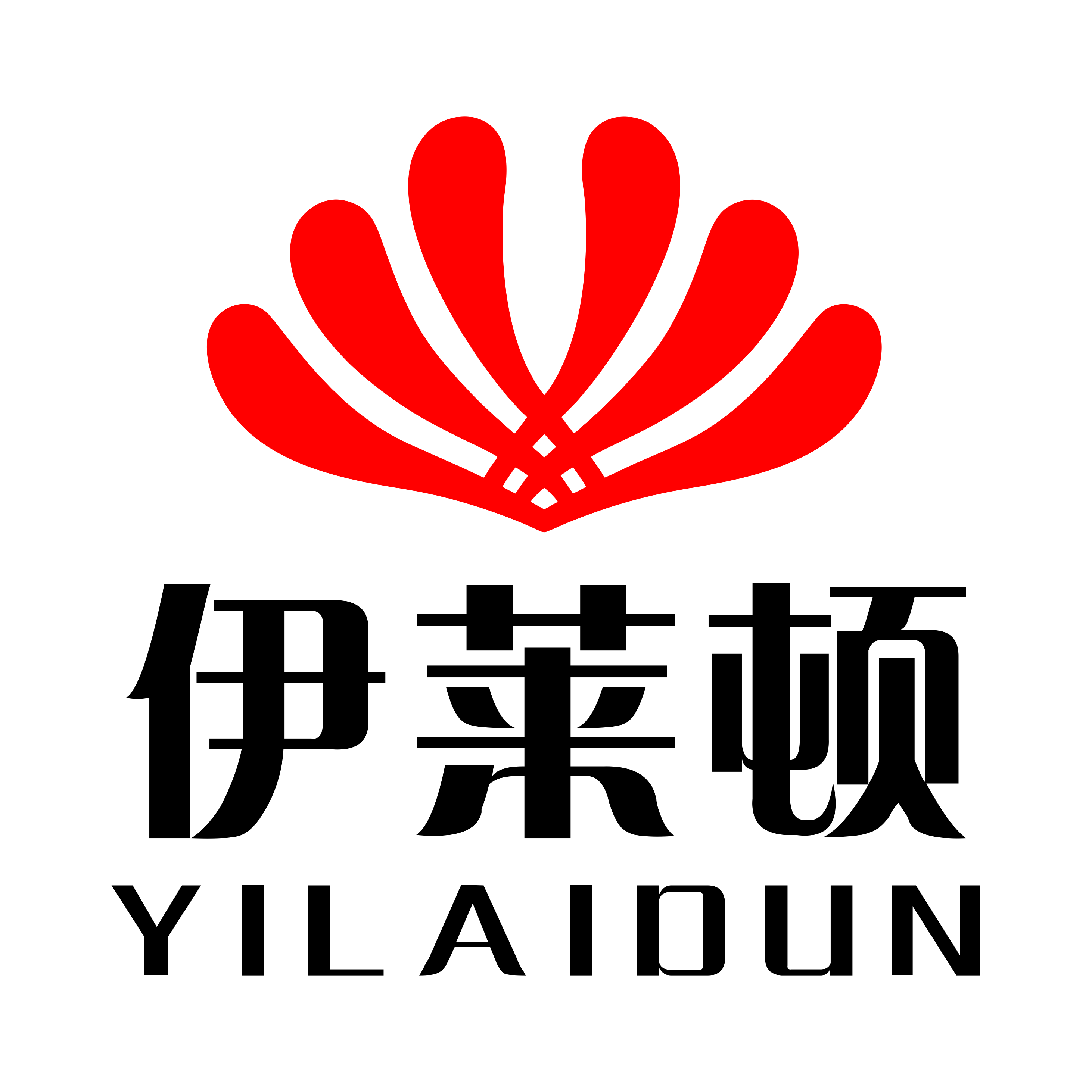 LIANJIANG YILAIDUN ELECTRIC APPLIANCES INDUSTRY CO.,LTD.